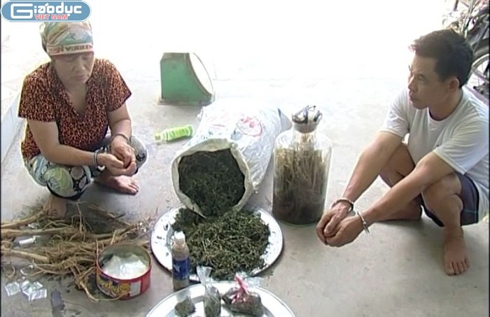 Hai vợ chồng đối tượng Nguyễn Thị Lý cùng "thành phẩm" từ cây cần sa trồng trong vườn nhà